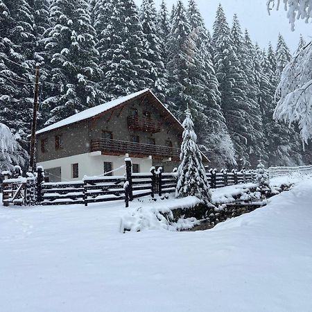 Chiba Chalet Timisu de Jos Ngoại thất bức ảnh