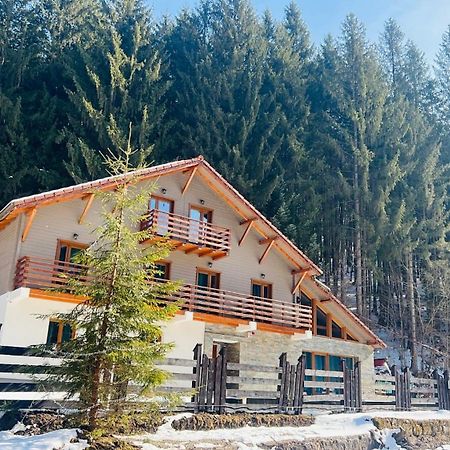 Chiba Chalet Timisu de Jos Ngoại thất bức ảnh