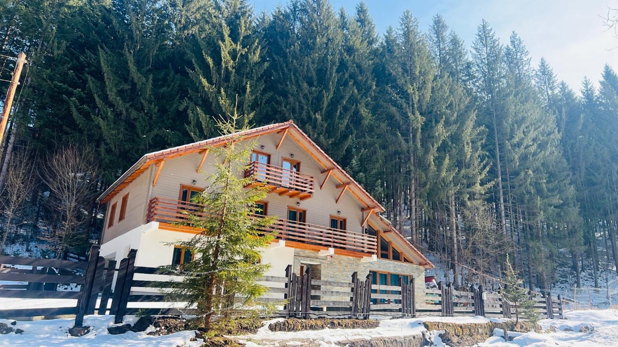 Chiba Chalet Timisu de Jos Ngoại thất bức ảnh