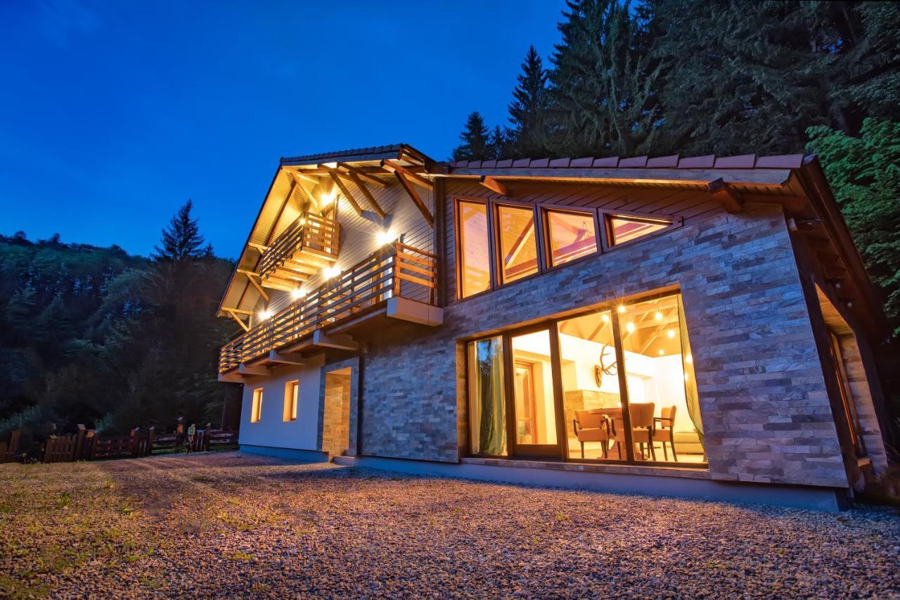 Chiba Chalet Timisu de Jos Ngoại thất bức ảnh