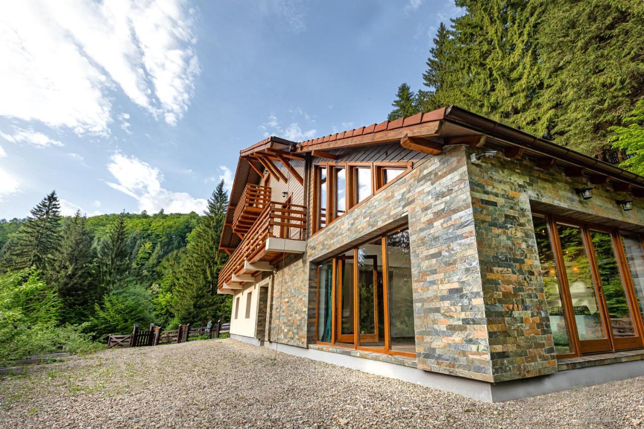 Chiba Chalet Timisu de Jos Ngoại thất bức ảnh
