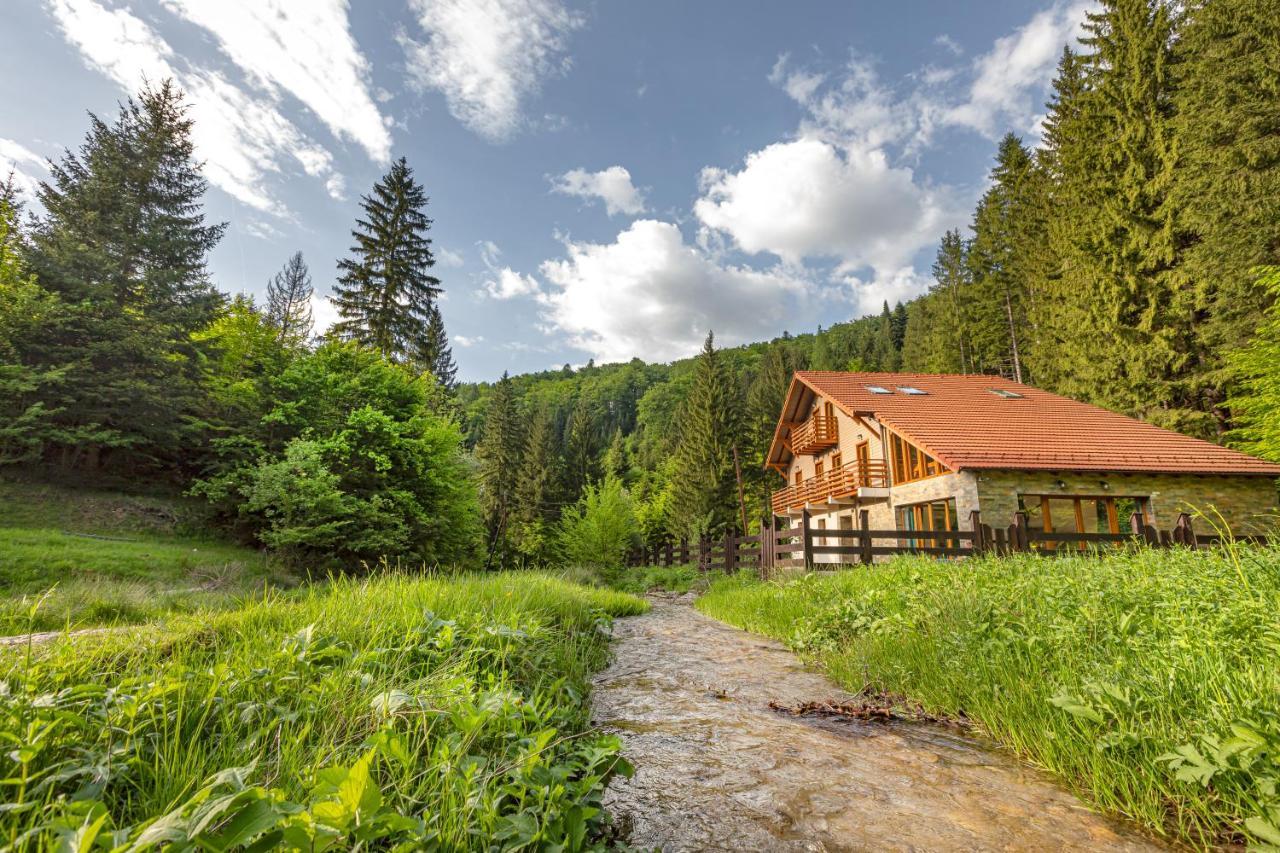 Chiba Chalet Timisu de Jos Ngoại thất bức ảnh