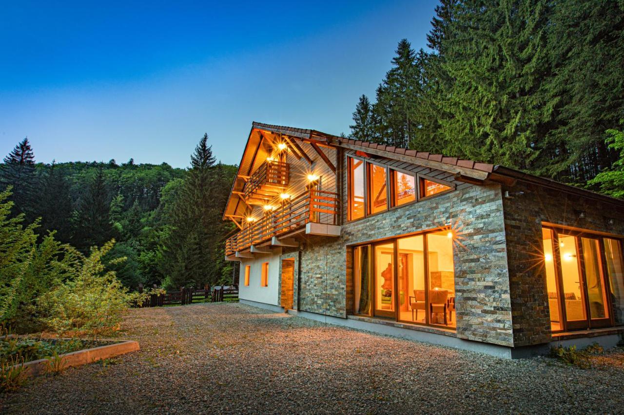 Chiba Chalet Timisu de Jos Ngoại thất bức ảnh
