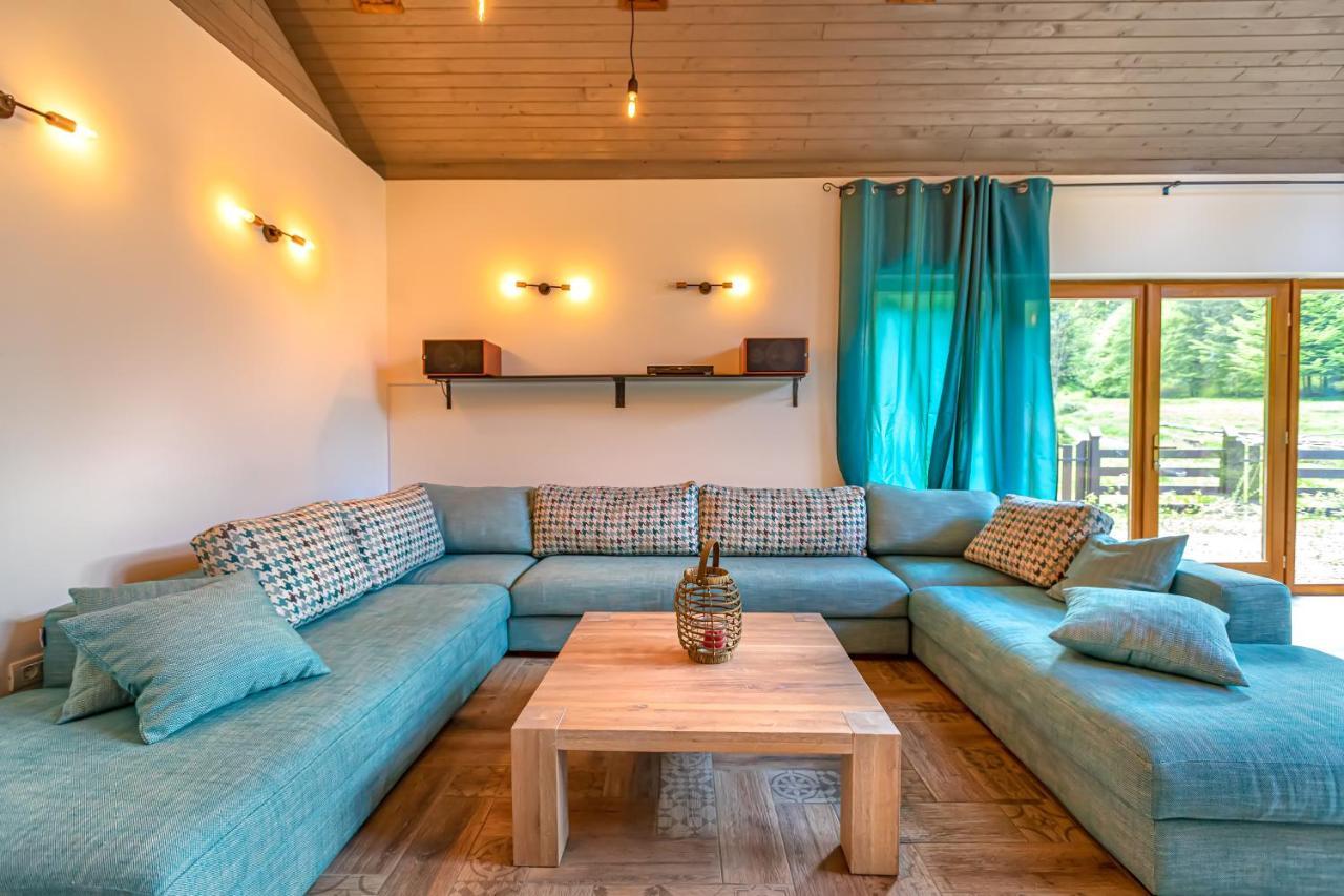 Chiba Chalet Timisu de Jos Ngoại thất bức ảnh
