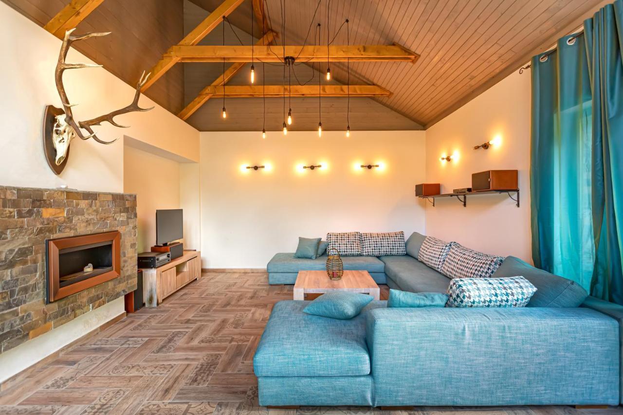 Chiba Chalet Timisu de Jos Ngoại thất bức ảnh
