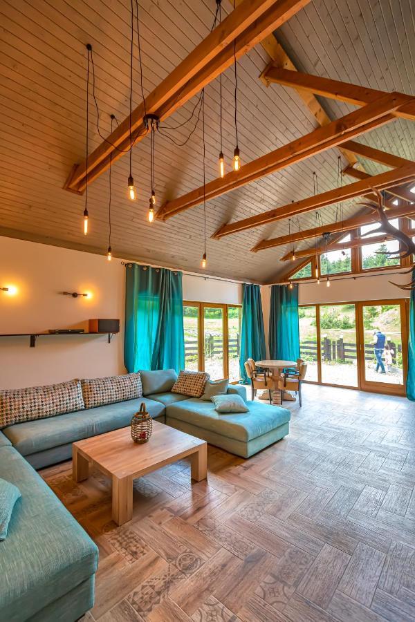 Chiba Chalet Timisu de Jos Ngoại thất bức ảnh