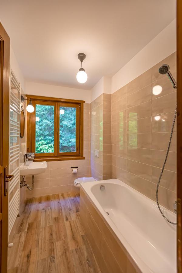 Chiba Chalet Timisu de Jos Ngoại thất bức ảnh