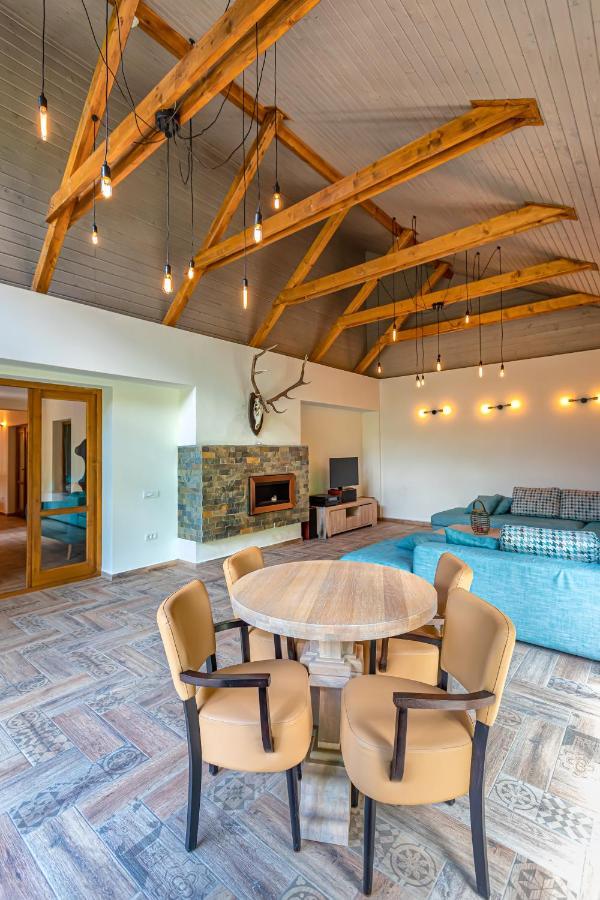 Chiba Chalet Timisu de Jos Ngoại thất bức ảnh