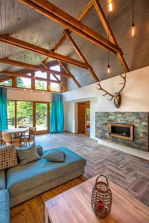 Chiba Chalet Timisu de Jos Ngoại thất bức ảnh