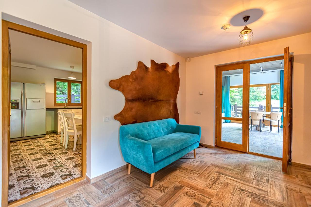 Chiba Chalet Timisu de Jos Ngoại thất bức ảnh